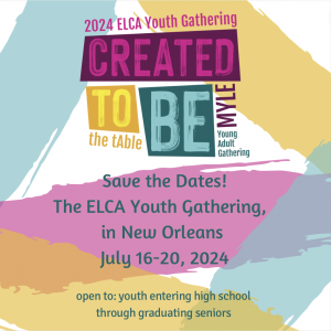 ELCA National Youth Gathering